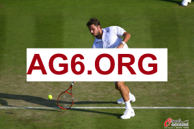 足球比分直播球探